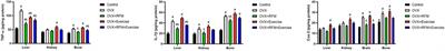 Ramadan fasting and exercise combination therapy: A novel approach for osteoporosis prevention in ovariectomized rats